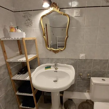 דירה 3 Places -mont Saint Michel- Le Chausey פונטורסון