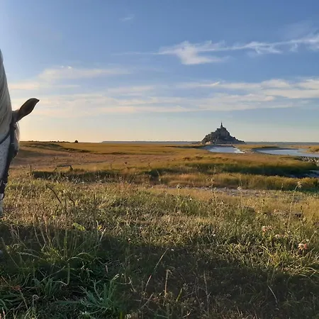 Le Chausey Mont Saint Michel *