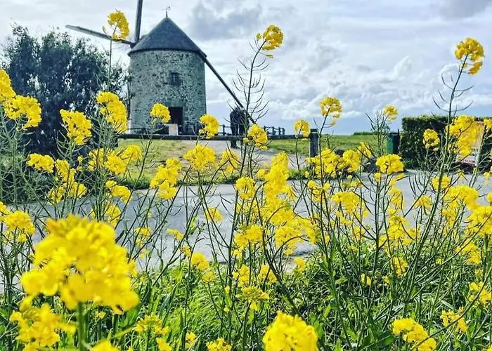 3 Places -mont Saint Michel- Le Chausey * פונטורסון